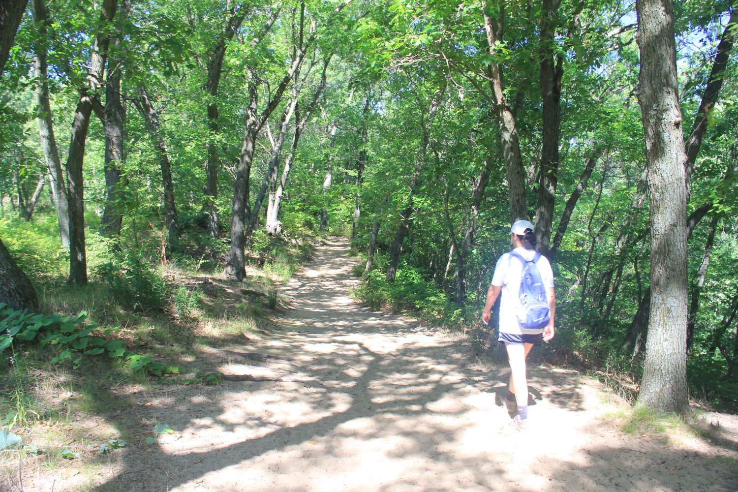 3 Dune Challenge Hike 